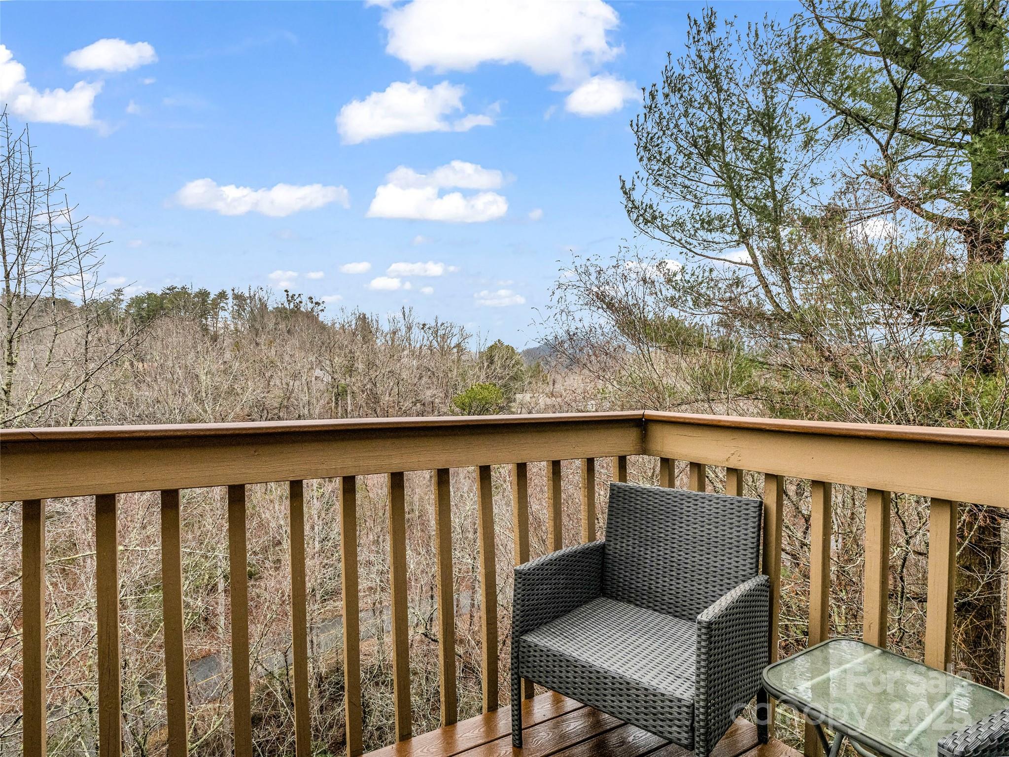 155 Quail Cove Boulevard Lake Lure NC 28746