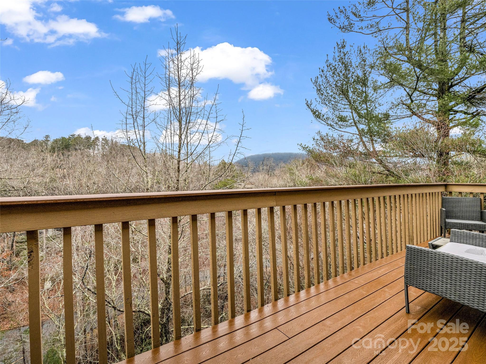 155 Quail Cove Boulevard Lake Lure NC 28746