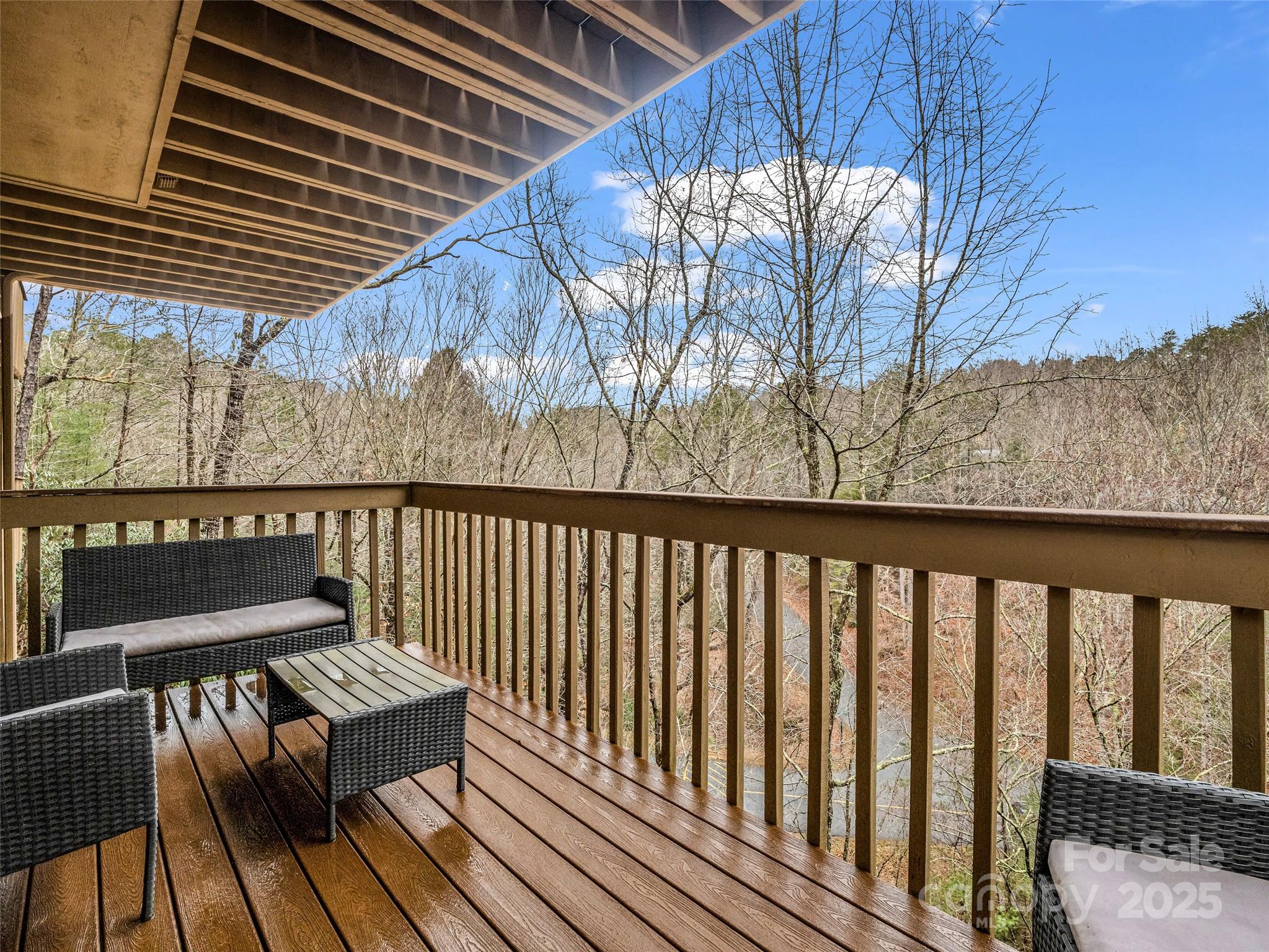 155 Quail Cove Boulevard Lake Lure NC 28746