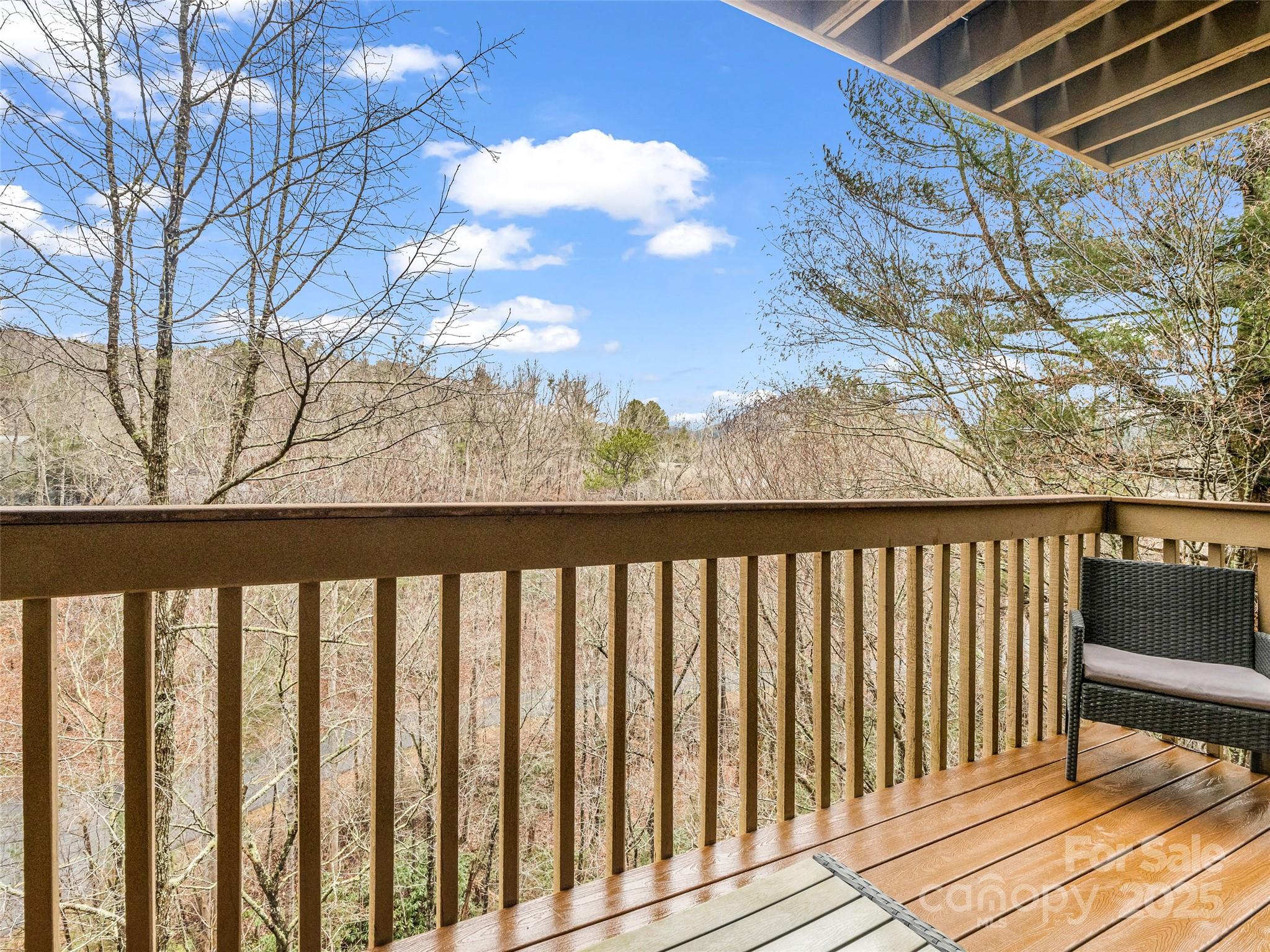 155 Quail Cove Boulevard Lake Lure NC 28746