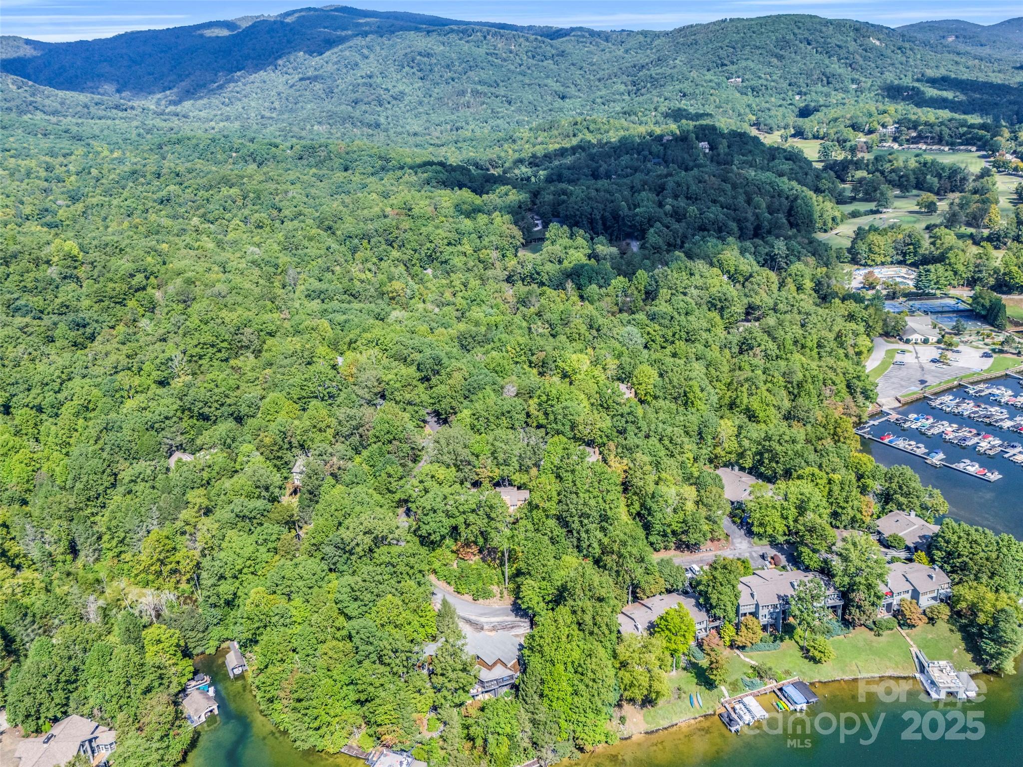 155 Quail Cove Boulevard Lake Lure NC 28746
