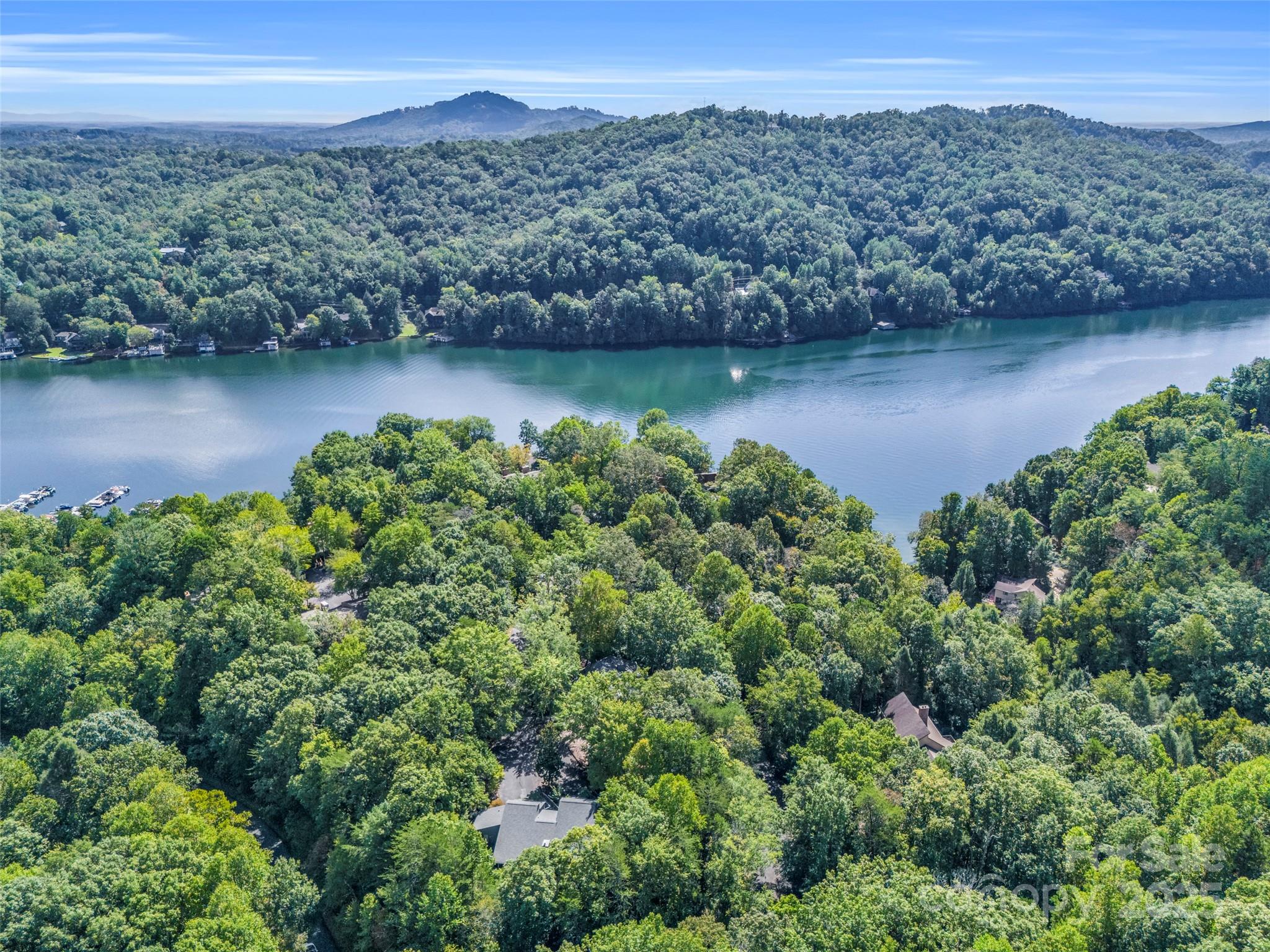 155 Quail Cove Boulevard Lake Lure NC 28746