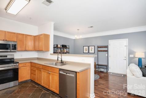 123 Appeldoorn Circle Asheville NC 28803