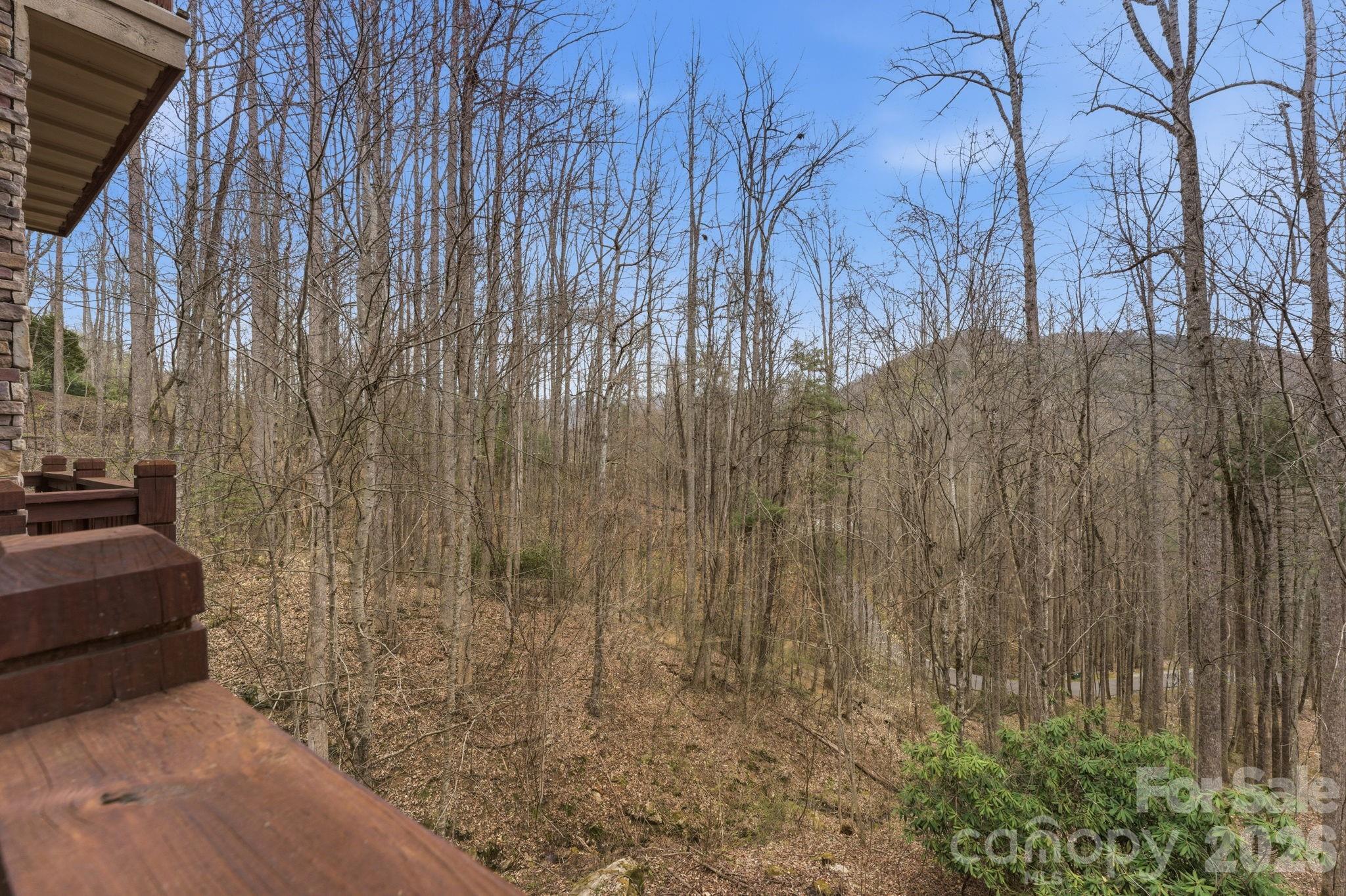 150 Saddle Notch Lane Tuckasegee NC 28783