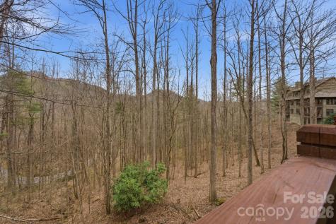 150 Saddle Notch Lane Tuckasegee NC 28783