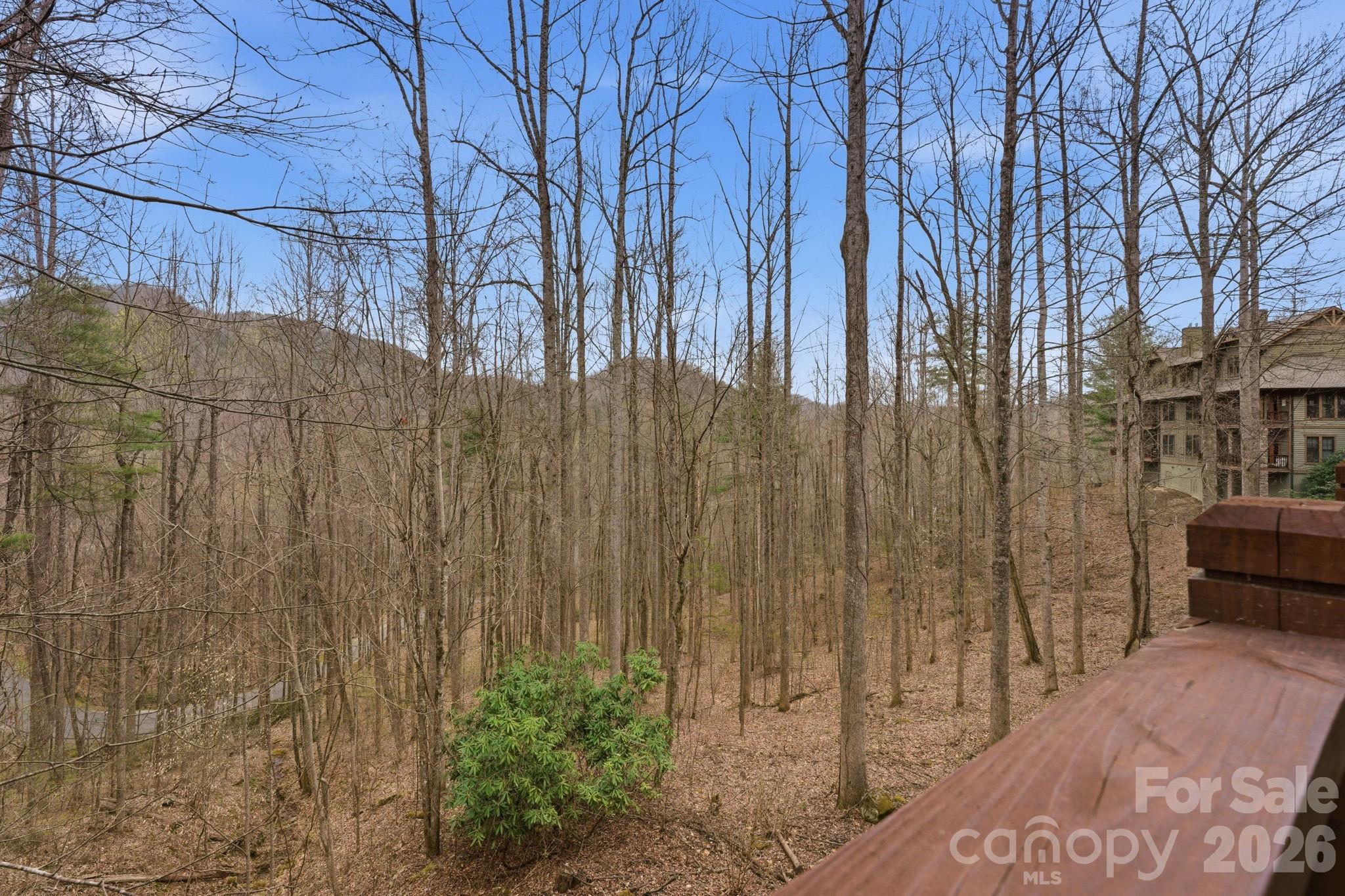 150 Saddle Notch Lane Tuckasegee NC 28783