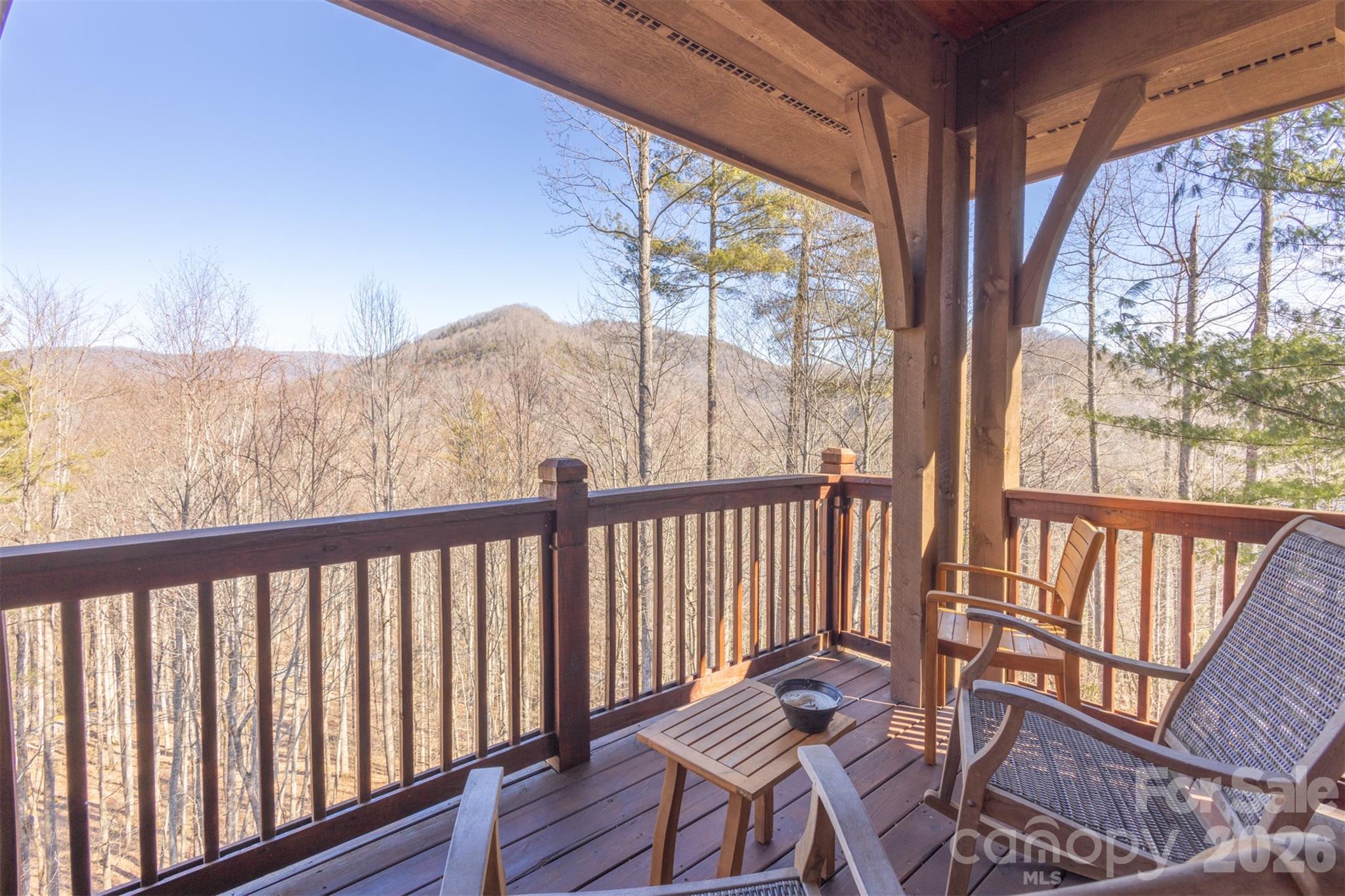 110 Saddle Notch Lane Tuckasegee NC 28783