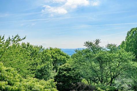 153 Country Ridge Road Laurel Park NC 28739