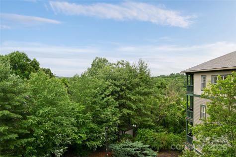 9 Kenilworth Knoll Asheville NC 28805