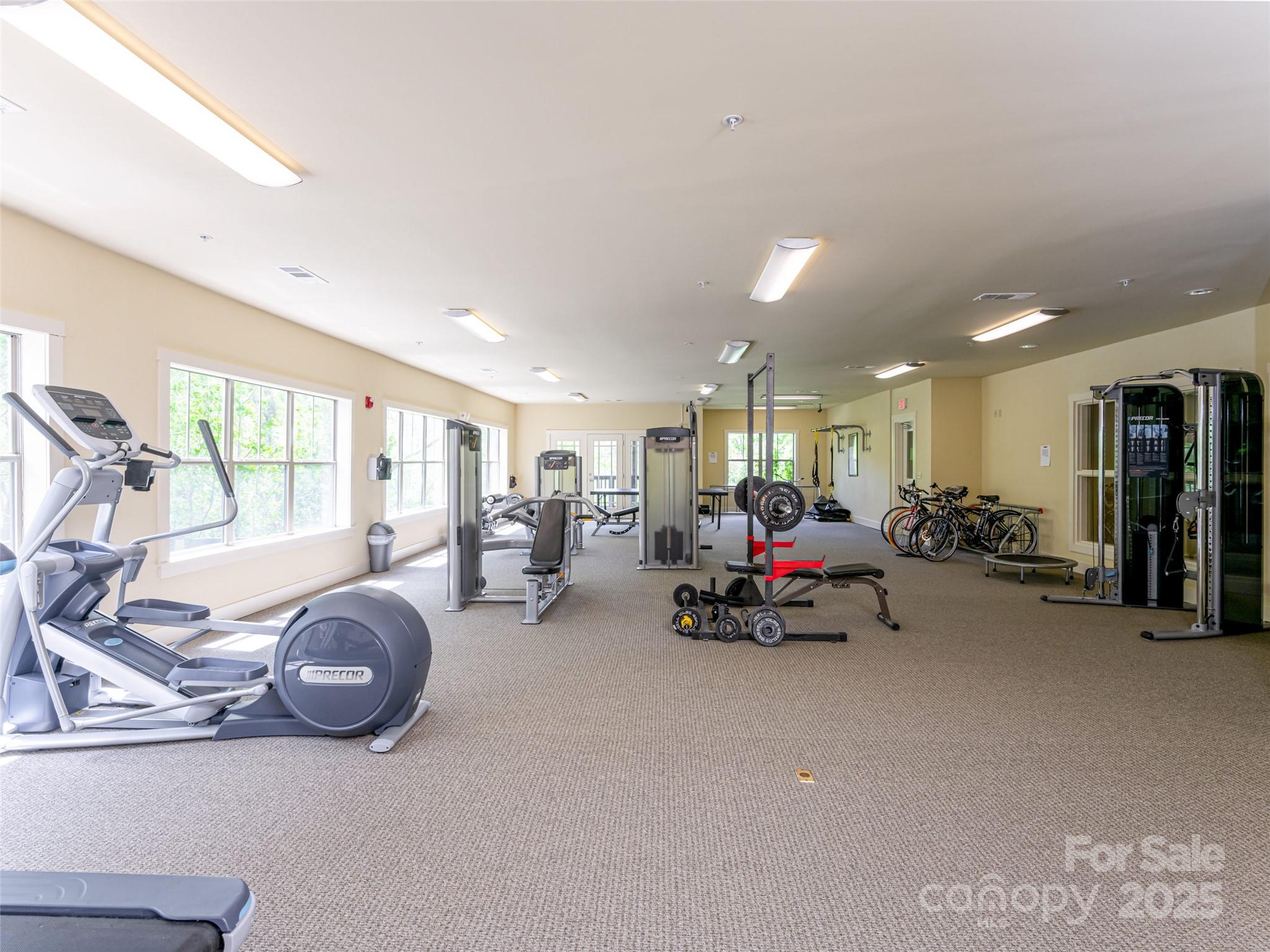 9 Kenilworth Knoll Asheville NC 28805