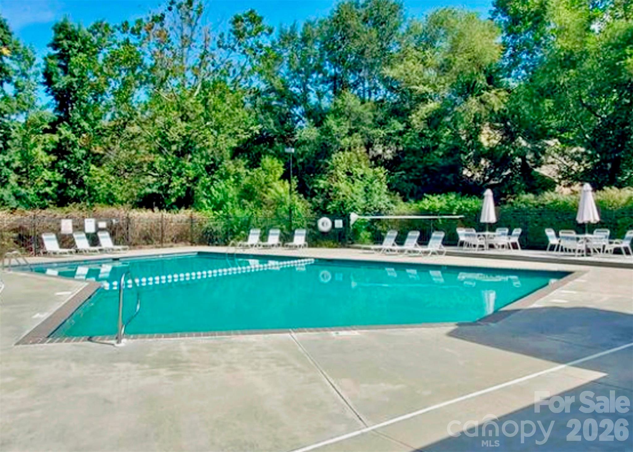 6 Willow Tree Run Asheville NC 28803