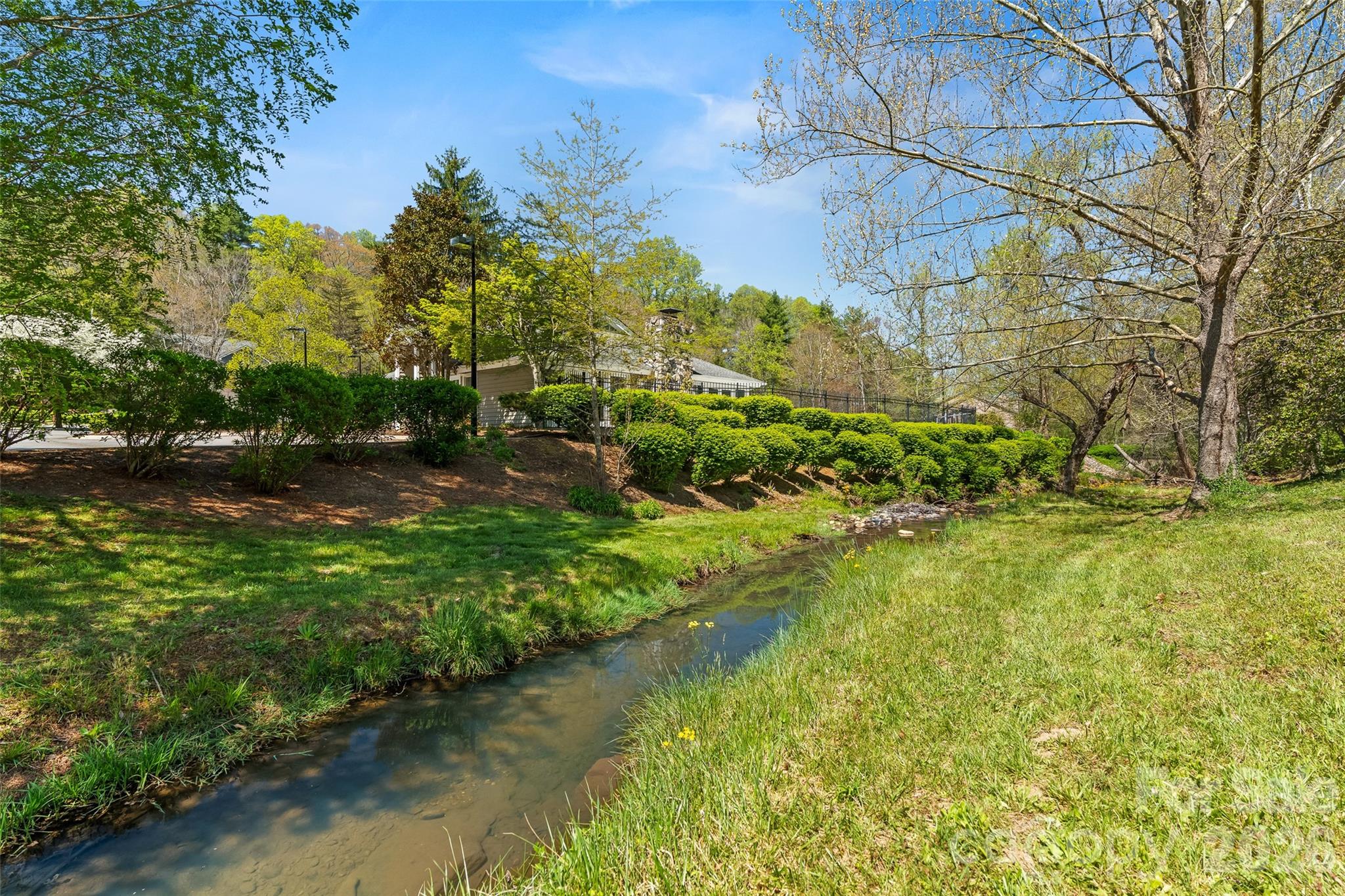 6 Willow Tree Run Asheville NC 28803