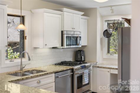 111 River Park Villas Drive Sapphire NC 28774