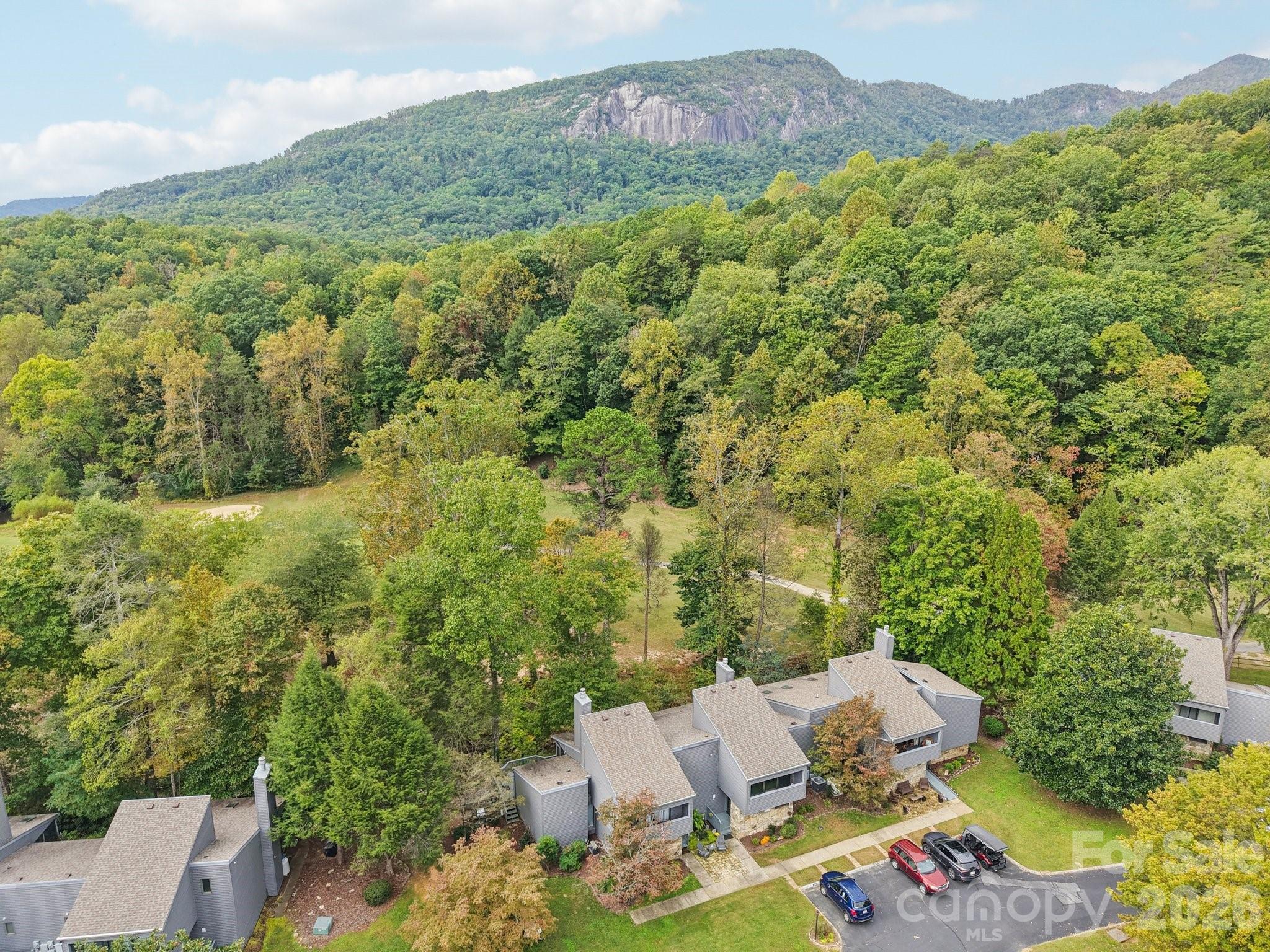 429 Mountains Boulevard Lake Lure NC 28746