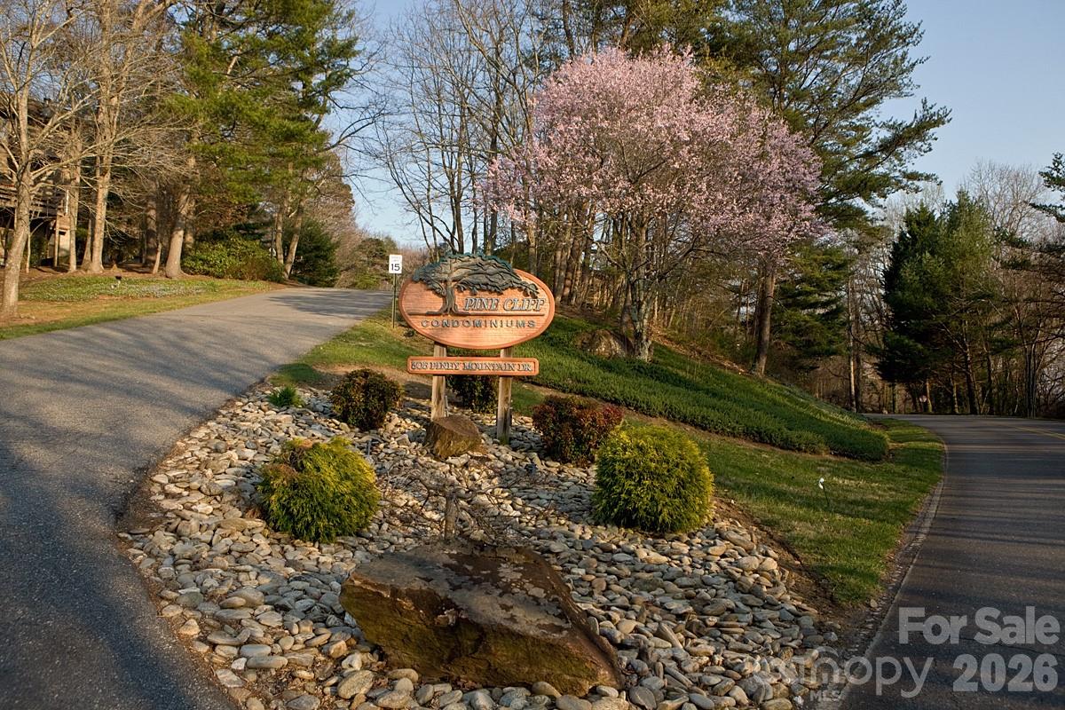 305 Piney Mountain Drive Asheville NC 28805