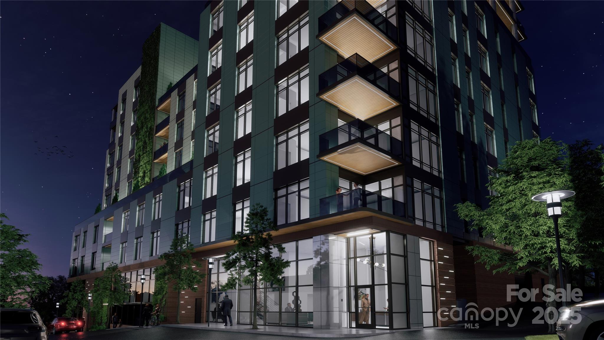 Asheville NC, 161 Church Street, Unit 1002