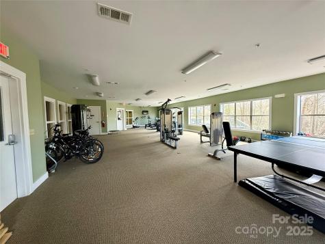 9 Kenilworth Knoll Asheville NC 28805