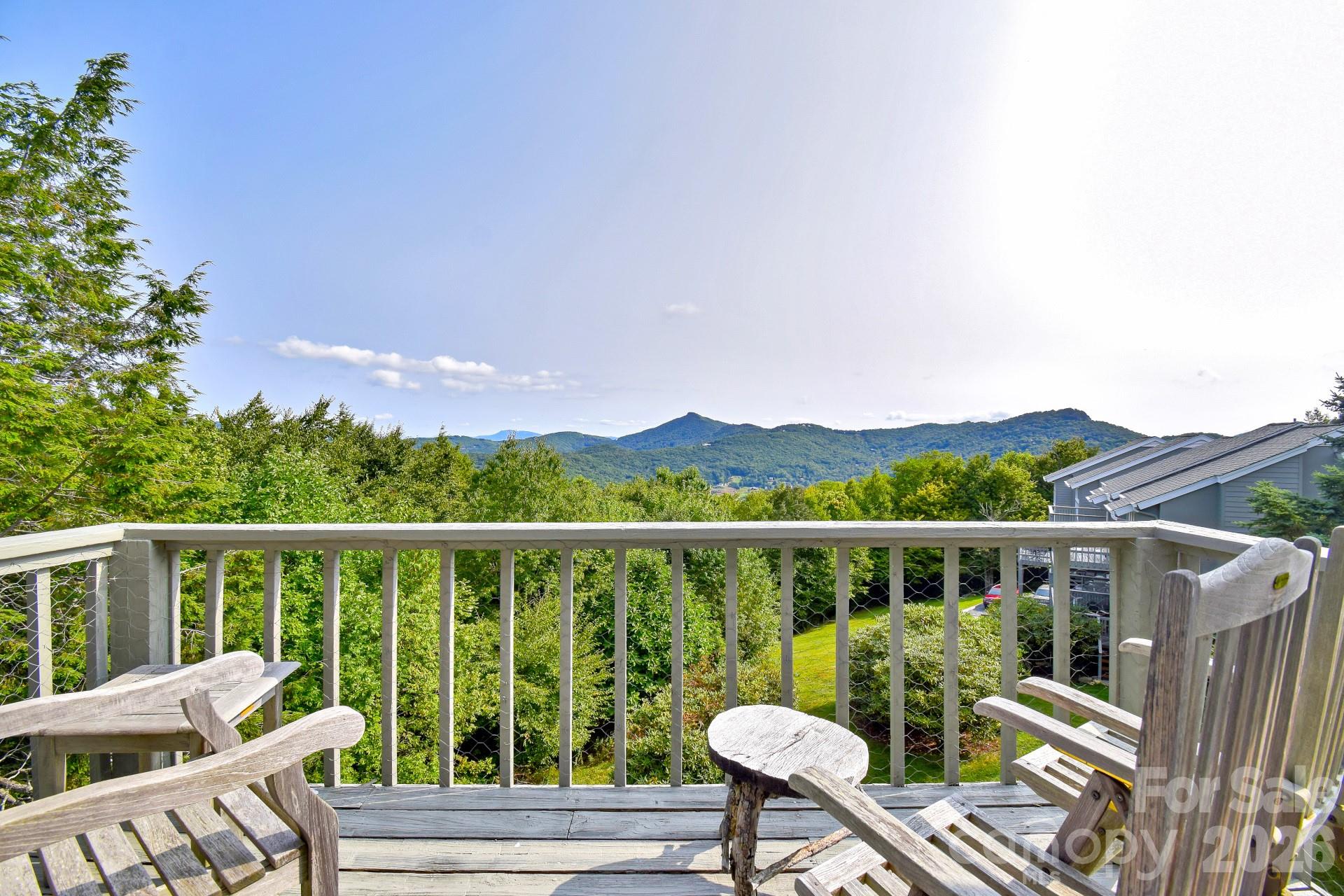 367 Skyleaf Drive Sugar Mountain NC 28604