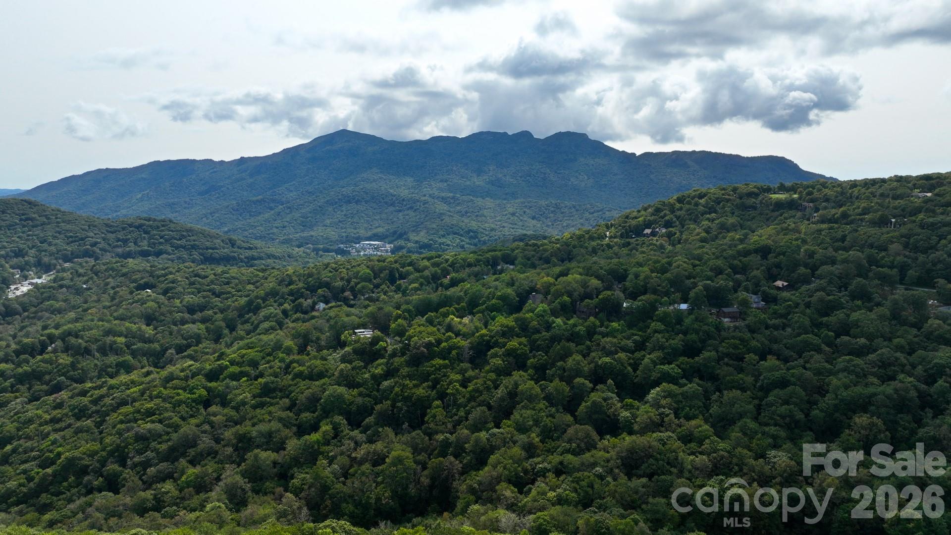 367 Skyleaf Drive Sugar Mountain NC 28604