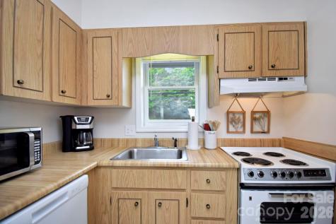 367 Skyleaf Drive Sugar Mountain NC 28604