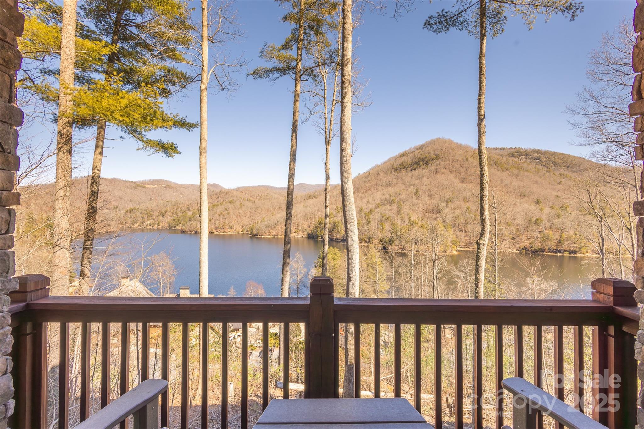 85 Southshore Drive Tuckasegee NC 28783