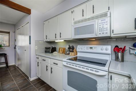 8 Lakemoor Lane Hendersonville NC 28739