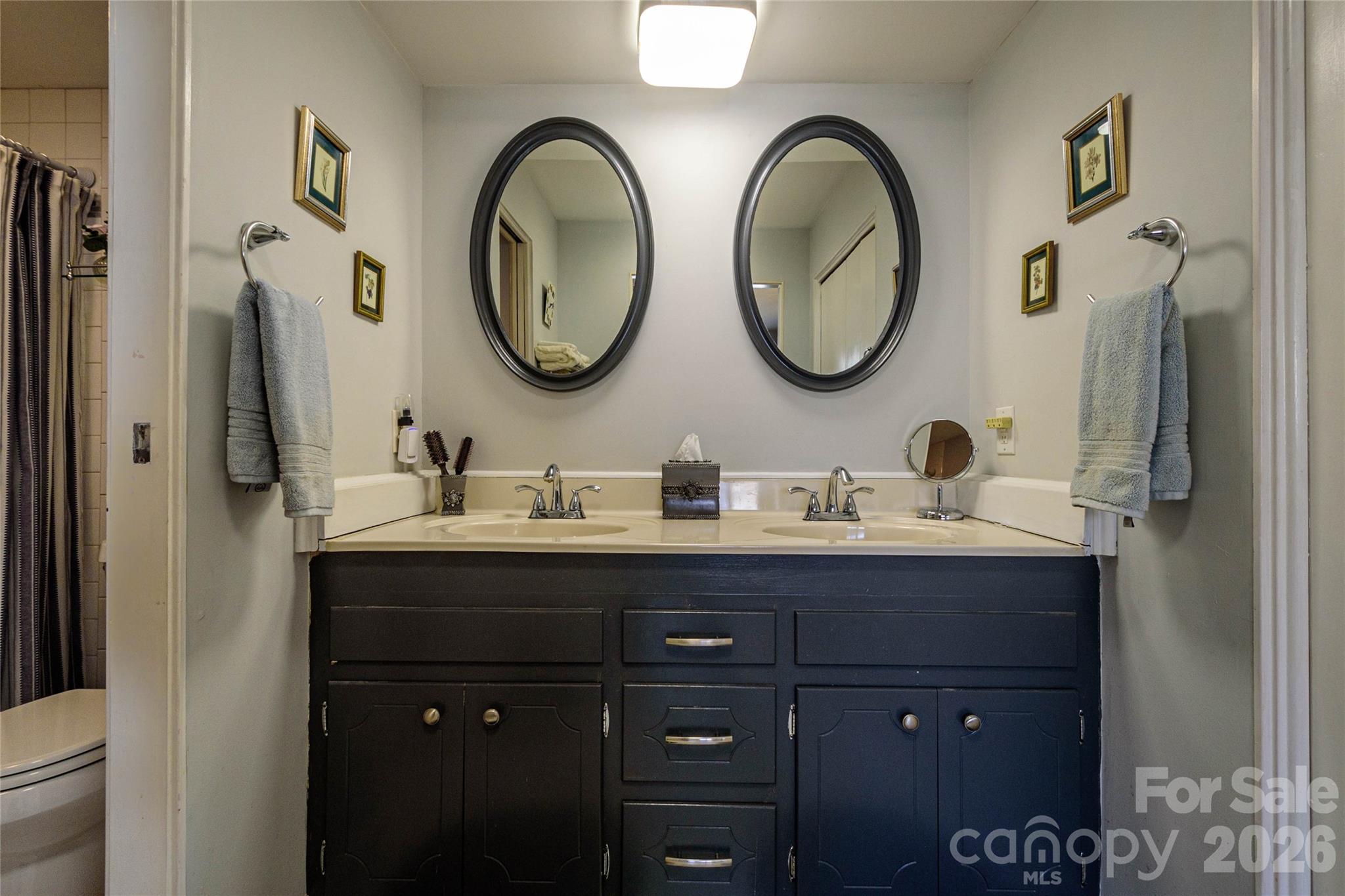 8 Lakemoor Lane Hendersonville NC 28739