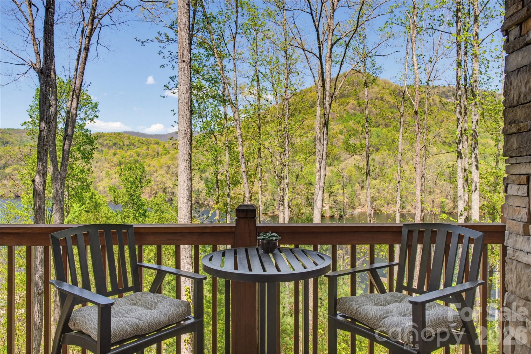 103 Southshore Drive Tuckasegee NC 28783