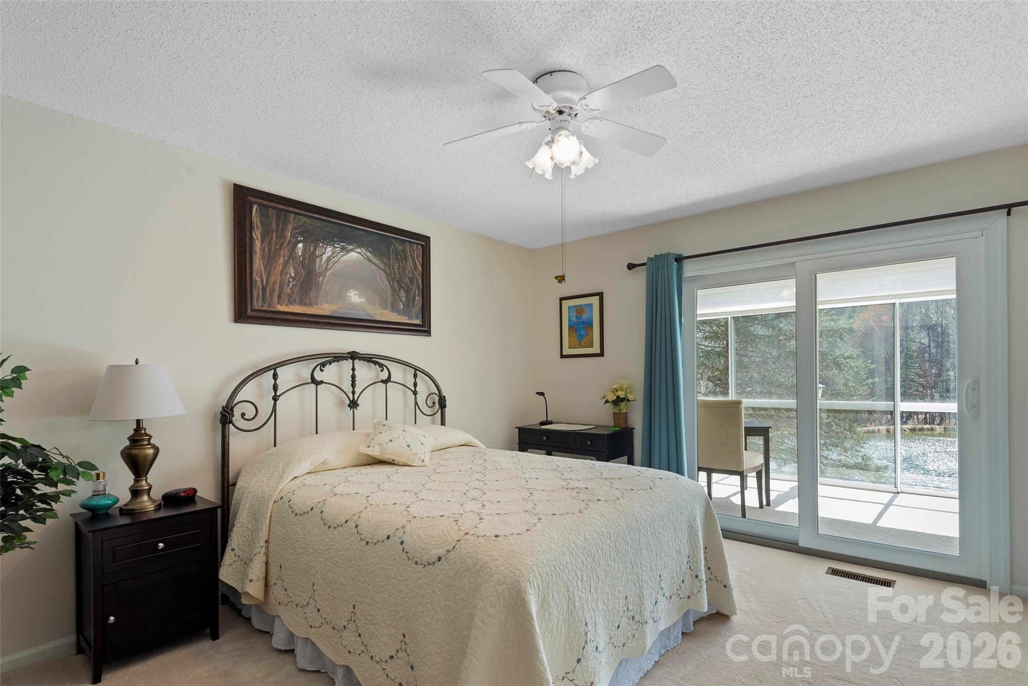 116 Lakeview Court Brevard NC 28712