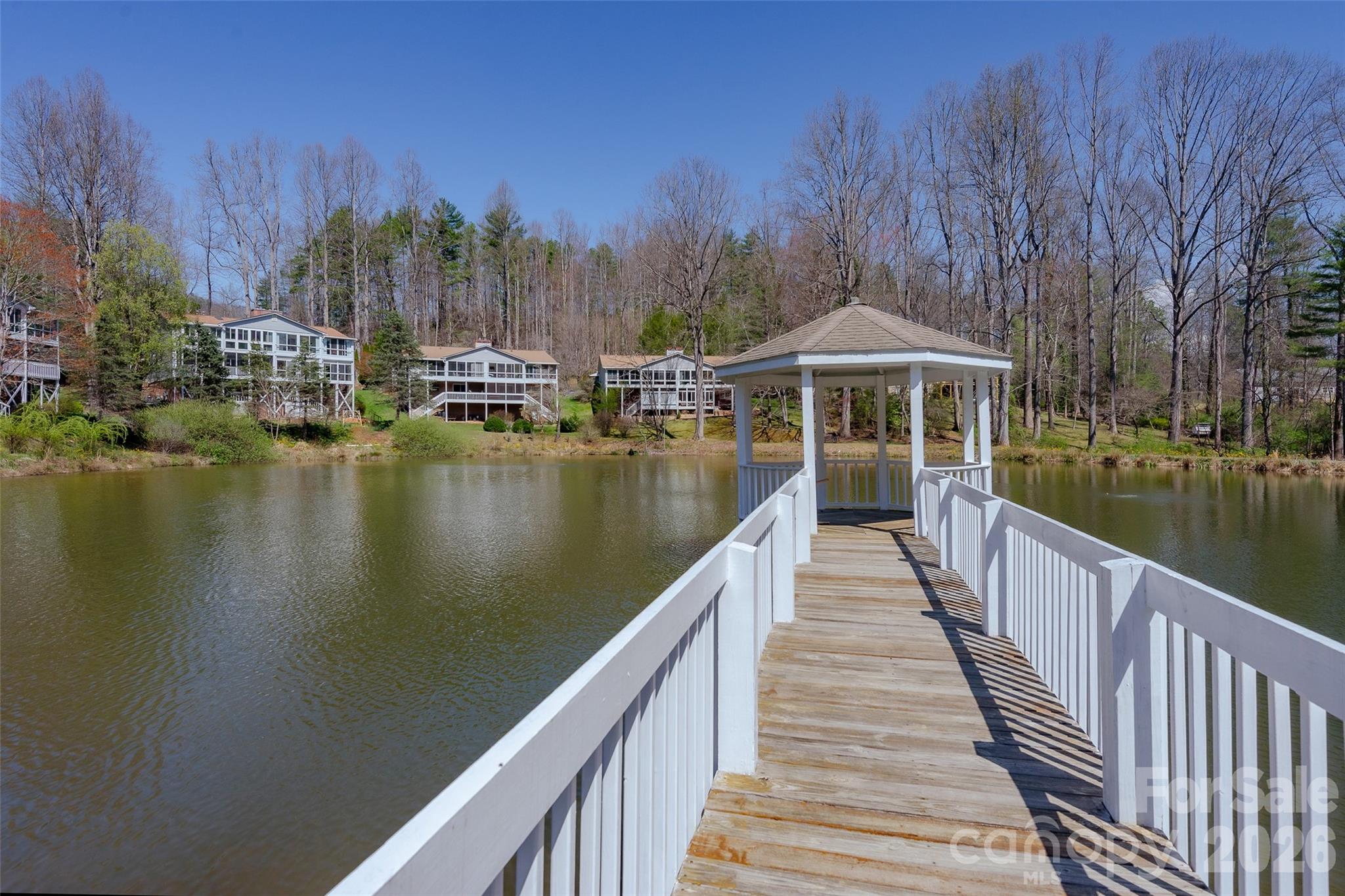 116 Lakeview Court Brevard NC 28712