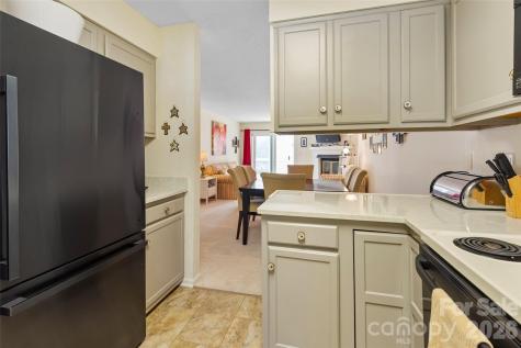 116 Lakeview Court Brevard NC 28712