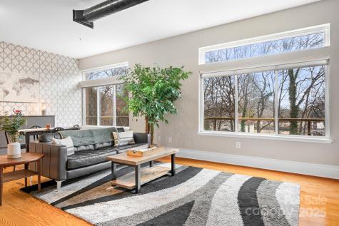 404 N Laurel Avenue Charlotte NC 28204