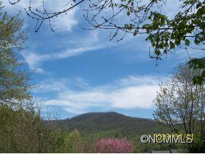 30 Stony Ridge Asheville NC 28804