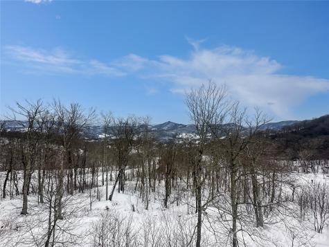 102 Sugar Ski Drive Sugar Mountain NC 28604