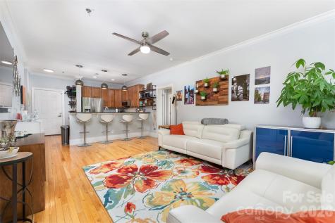 155 S Lexington Avenue Asheville NC 28801