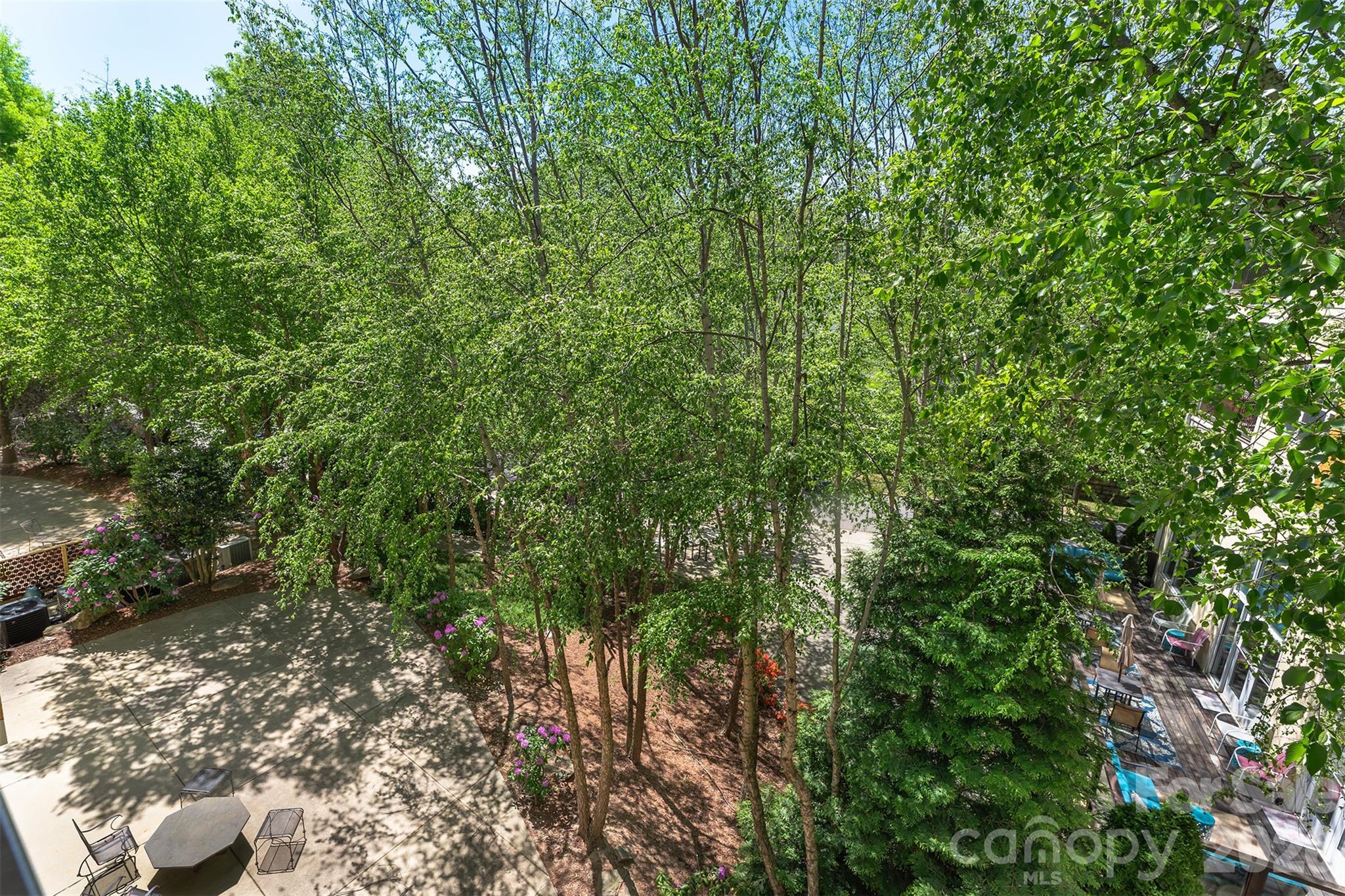 155 S Lexington Avenue Asheville NC 28801
