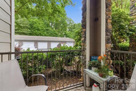 900 Vista Lake Drive Candler NC 28715