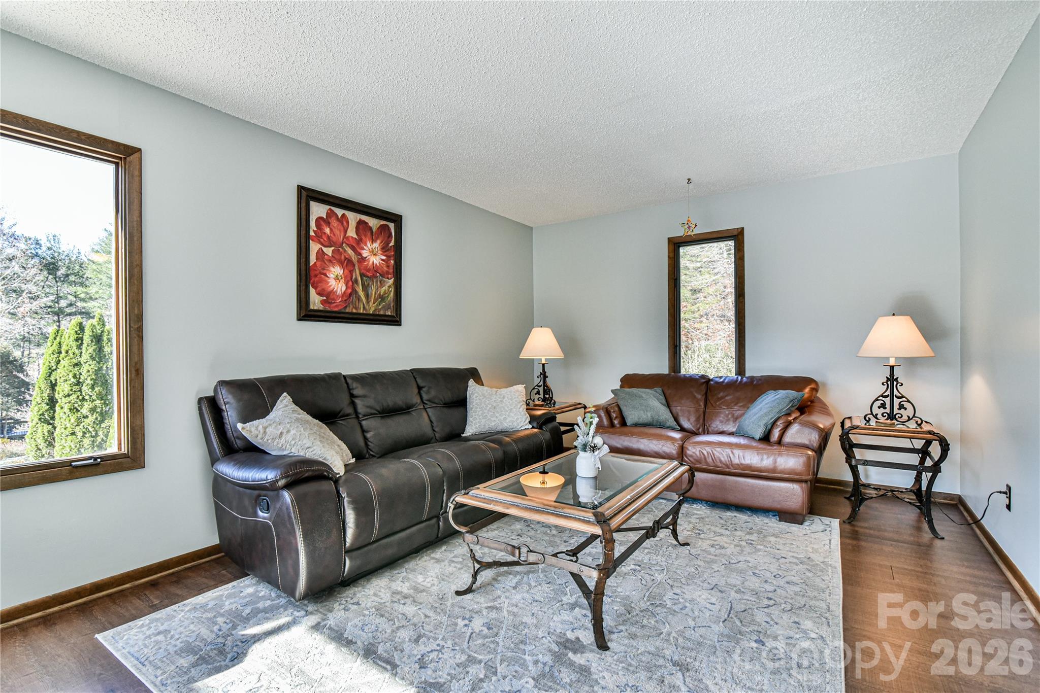1 Lynx Drive Black Mountain NC 28711