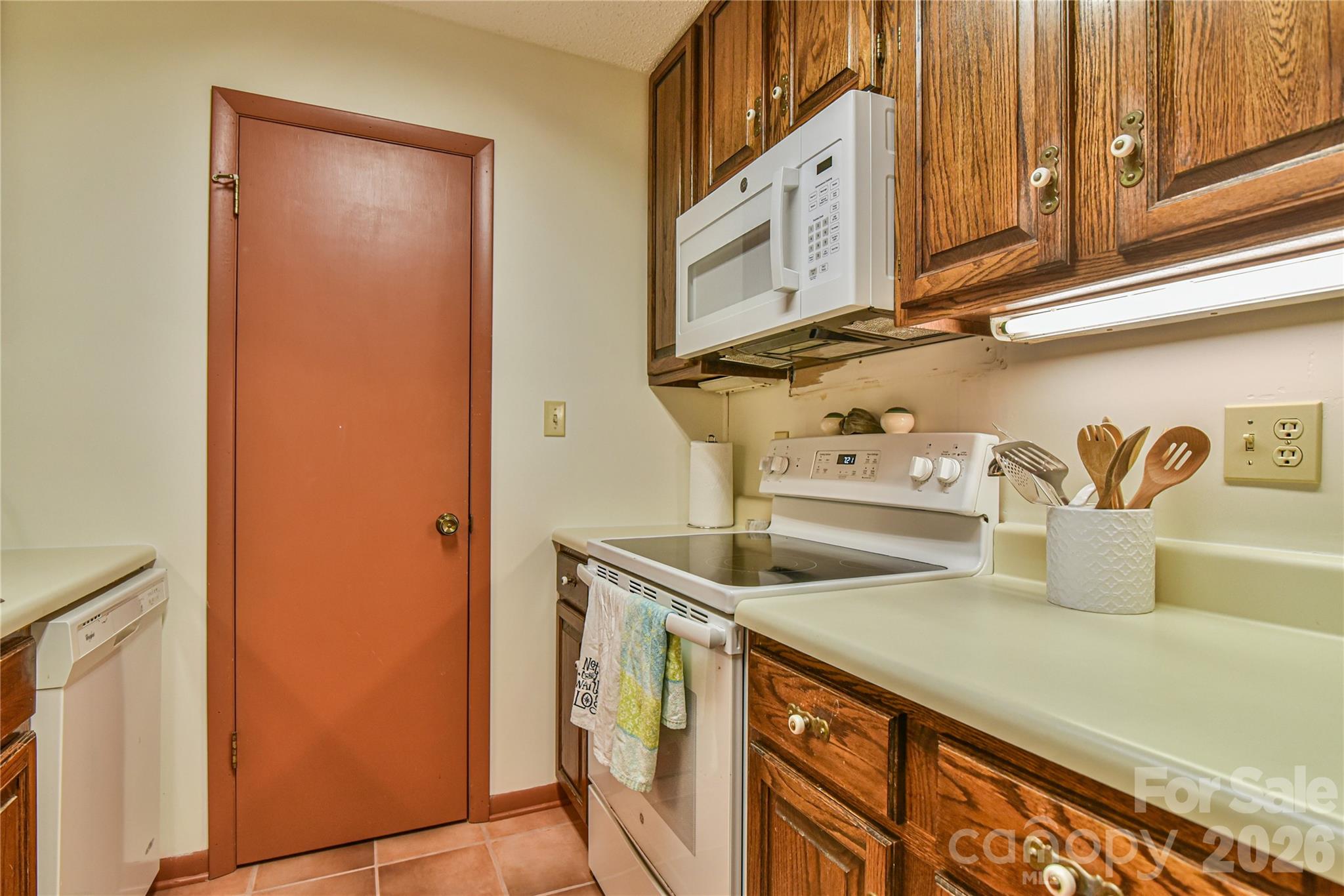 1 Lynx Drive Black Mountain NC 28711
