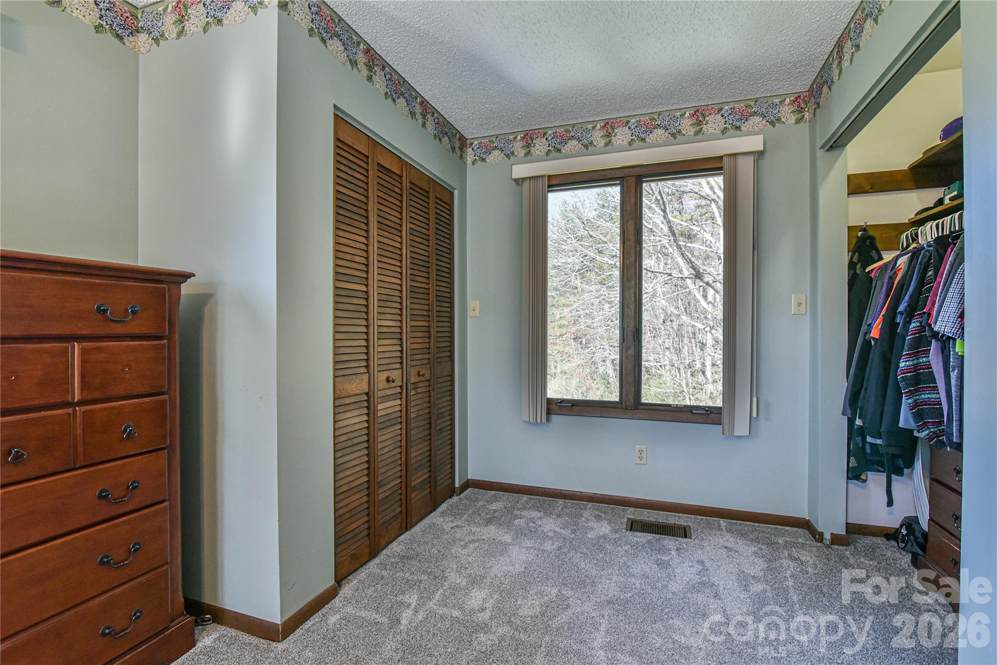 1 Lynx Drive Black Mountain NC 28711