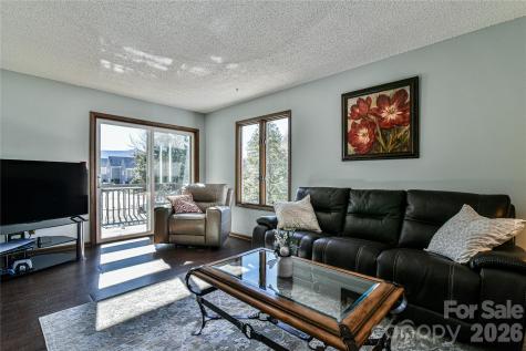 1 Lynx Drive Black Mountain NC 28711