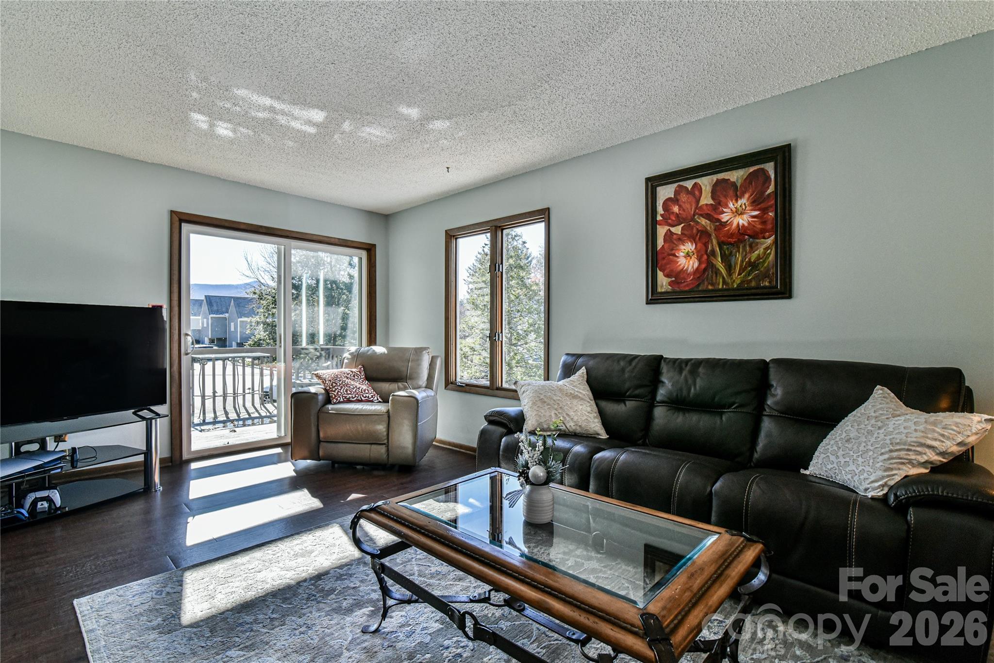 1 Lynx Drive Black Mountain NC 28711