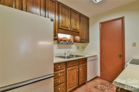 1 Lynx Drive Black Mountain NC 28711