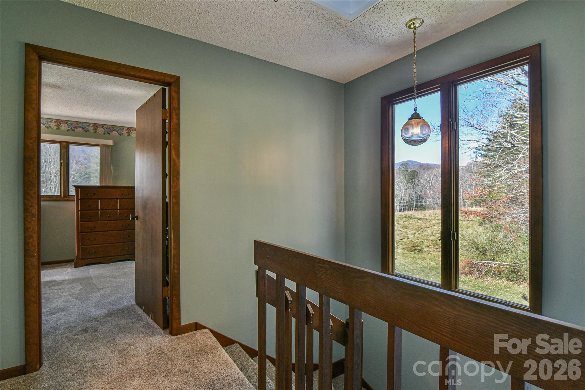 1 Lynx Drive Black Mountain NC 28711