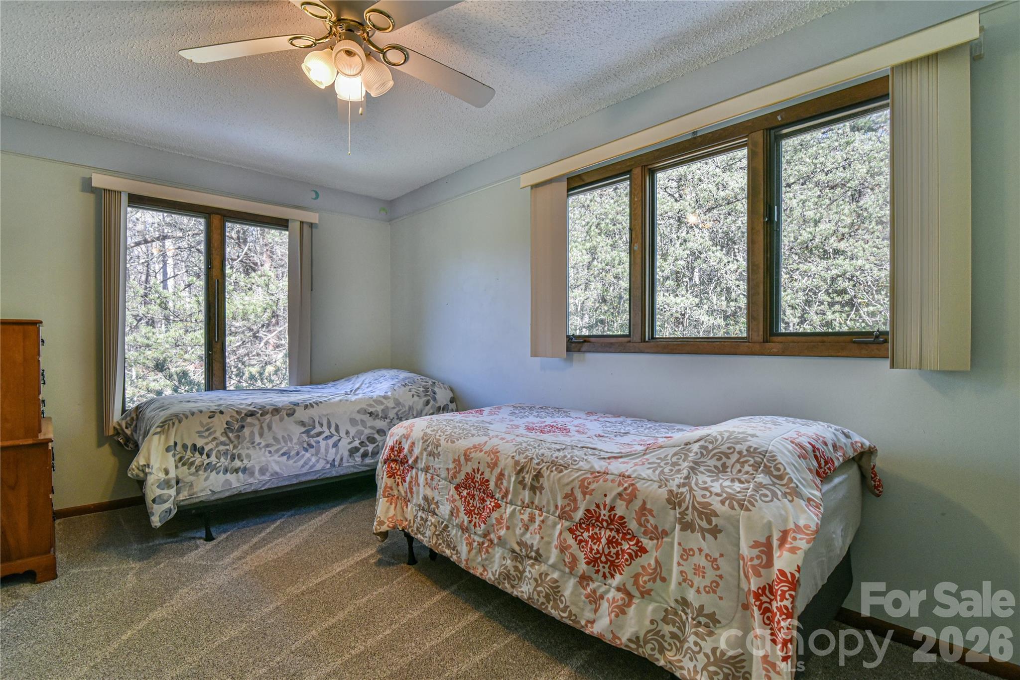 1 Lynx Drive Black Mountain NC 28711