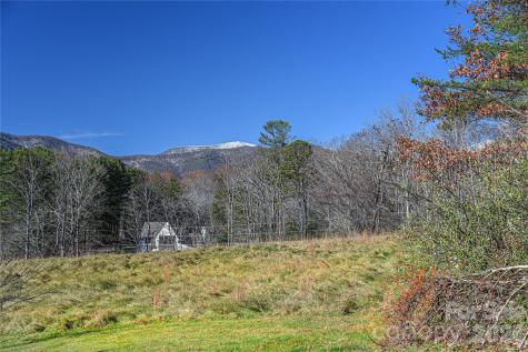1 Lynx Drive Black Mountain NC 28711