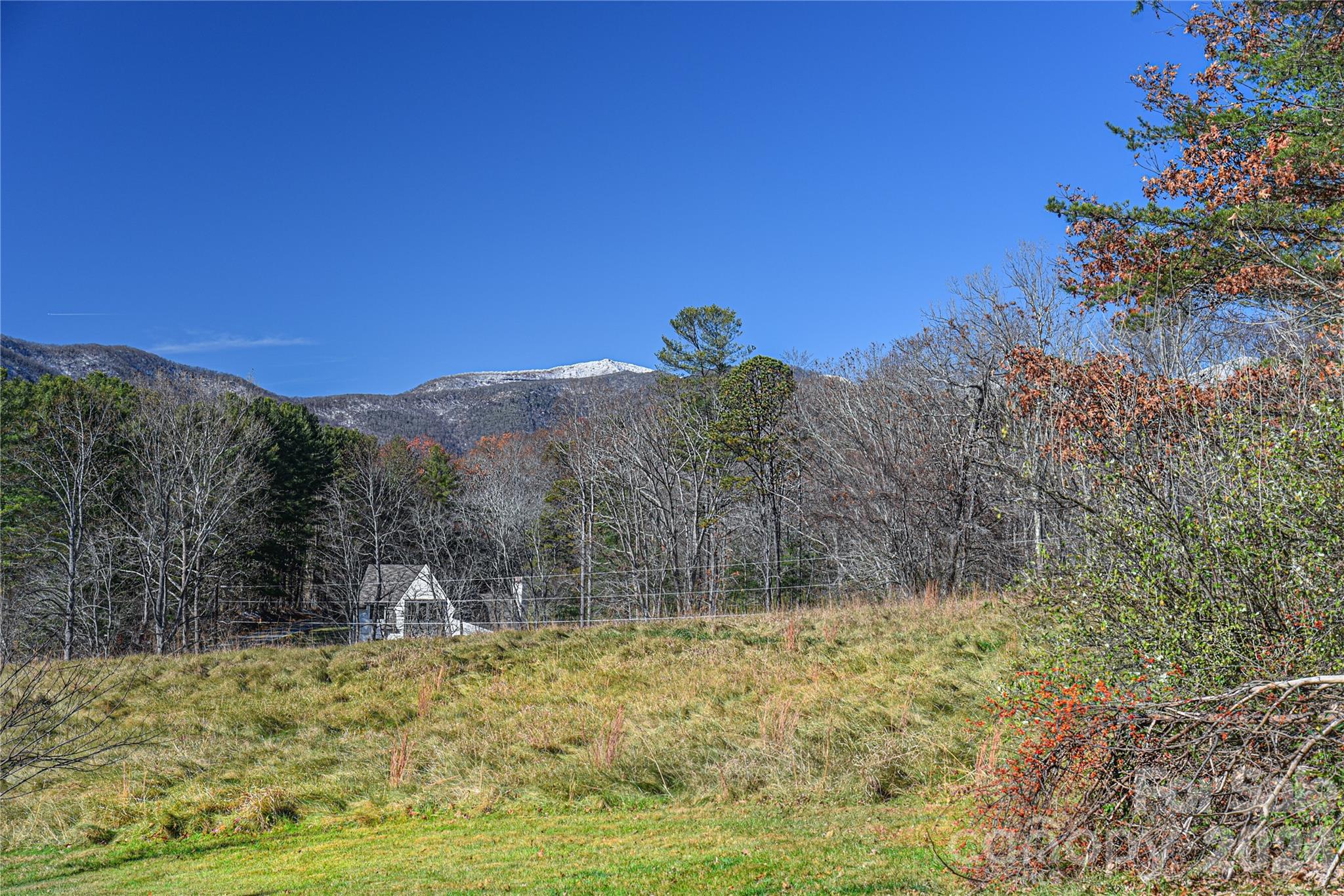 1 Lynx Drive Black Mountain NC 28711