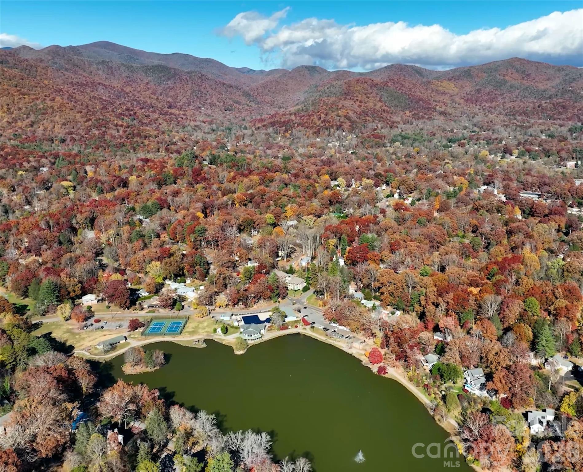1 Lynx Drive Black Mountain NC 28711