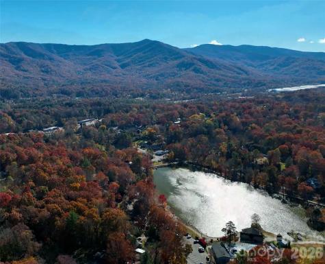 1 Lynx Drive Black Mountain NC 28711