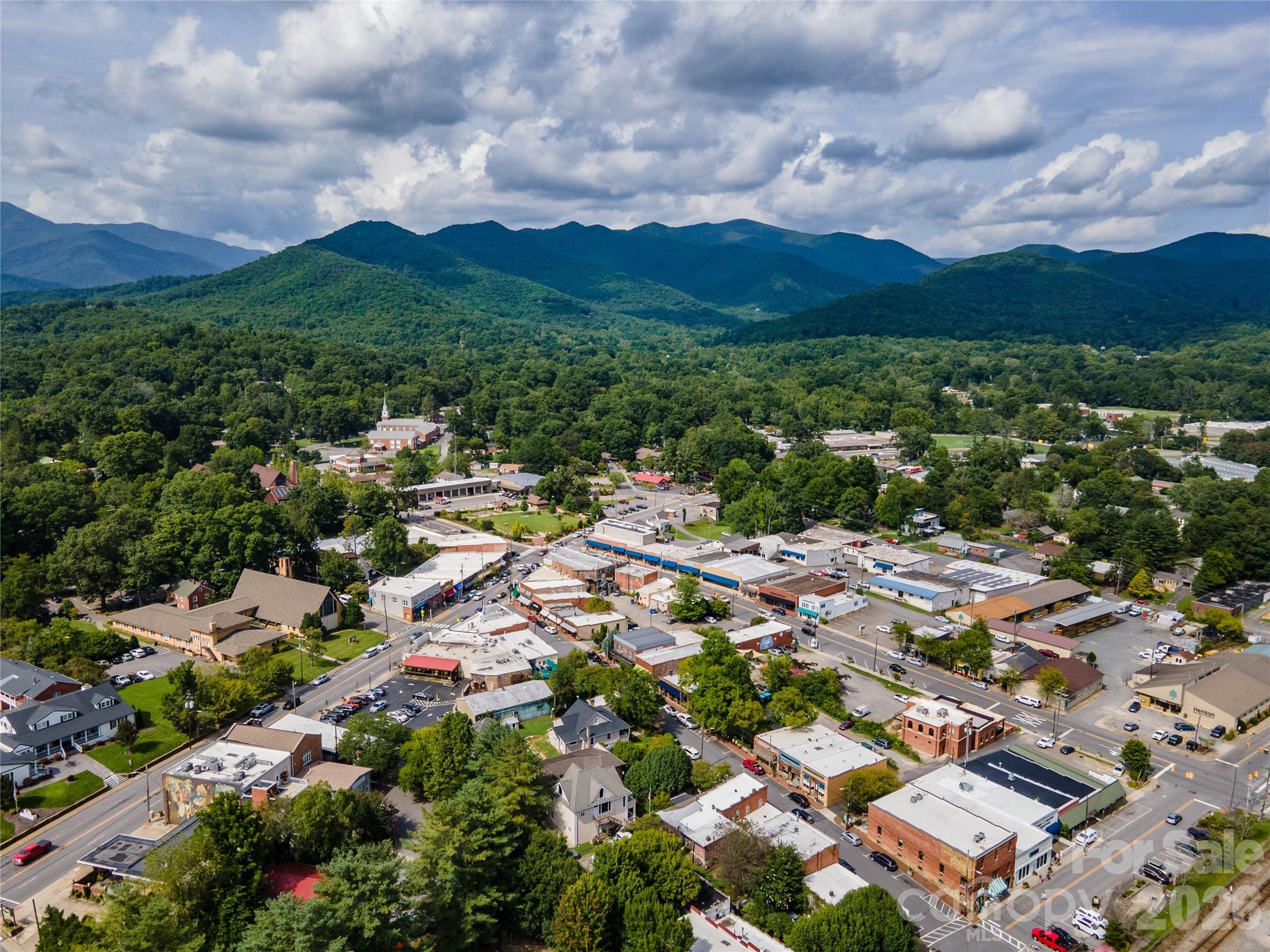 1 Lynx Drive Black Mountain NC 28711